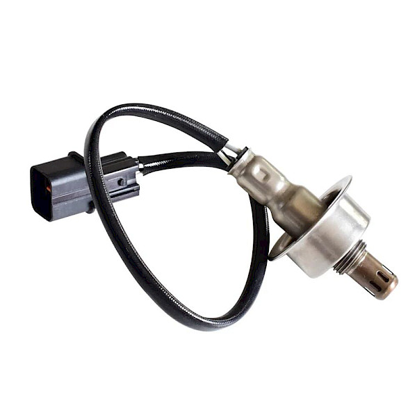 Imagen 0